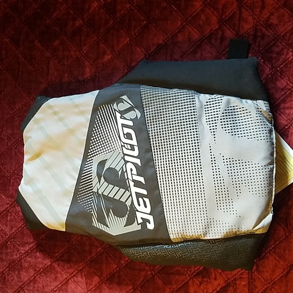 Jet Pilot Type III PFD - Picture 2 of 5